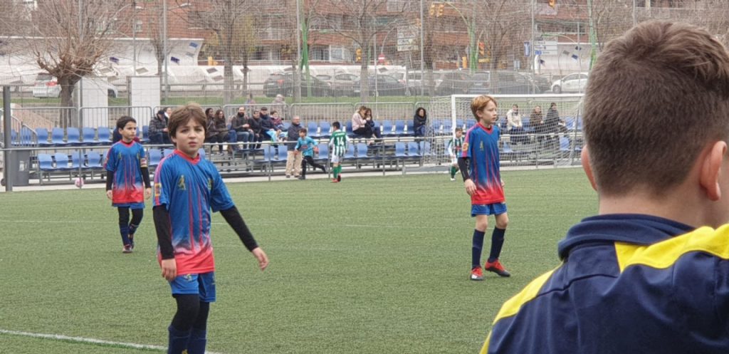 Temporada 2019-20 de PB Barcino