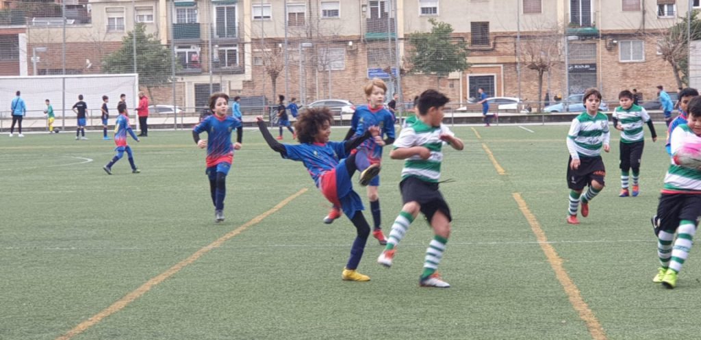 Temporada 2019-20 de PB Barcino