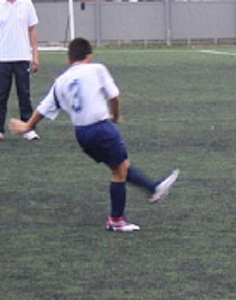 Temporada 2012-13 de PB Barcino