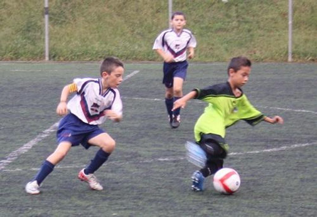 Temporada 2012-13 de PB Barcino