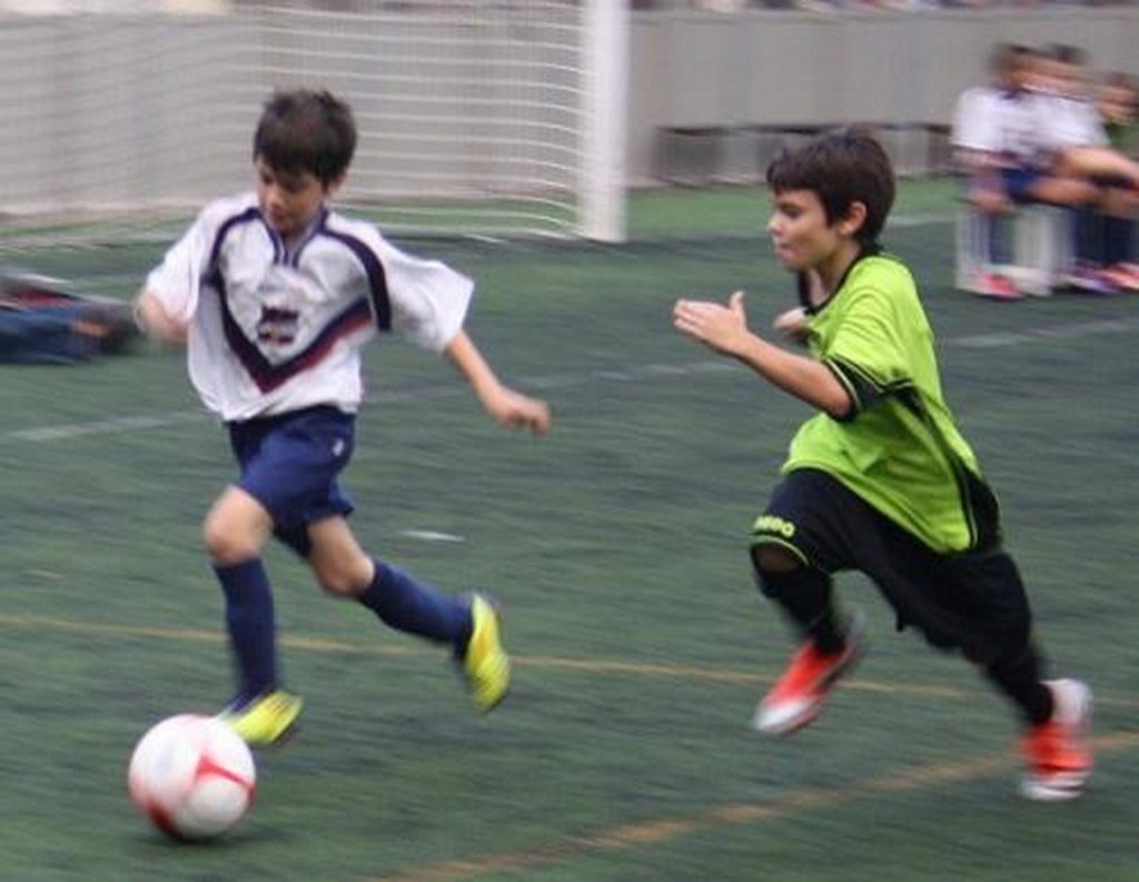 Temporada 2012-13 de PB Barcino