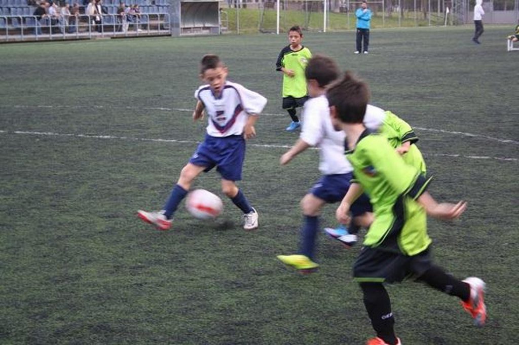 Temporada 2012-13 de PB Barcino