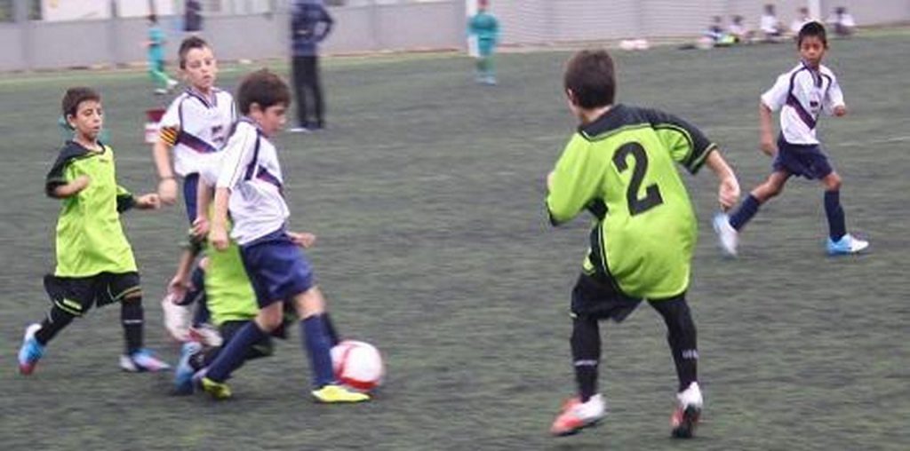 Temporada 2012-13 de PB Barcino