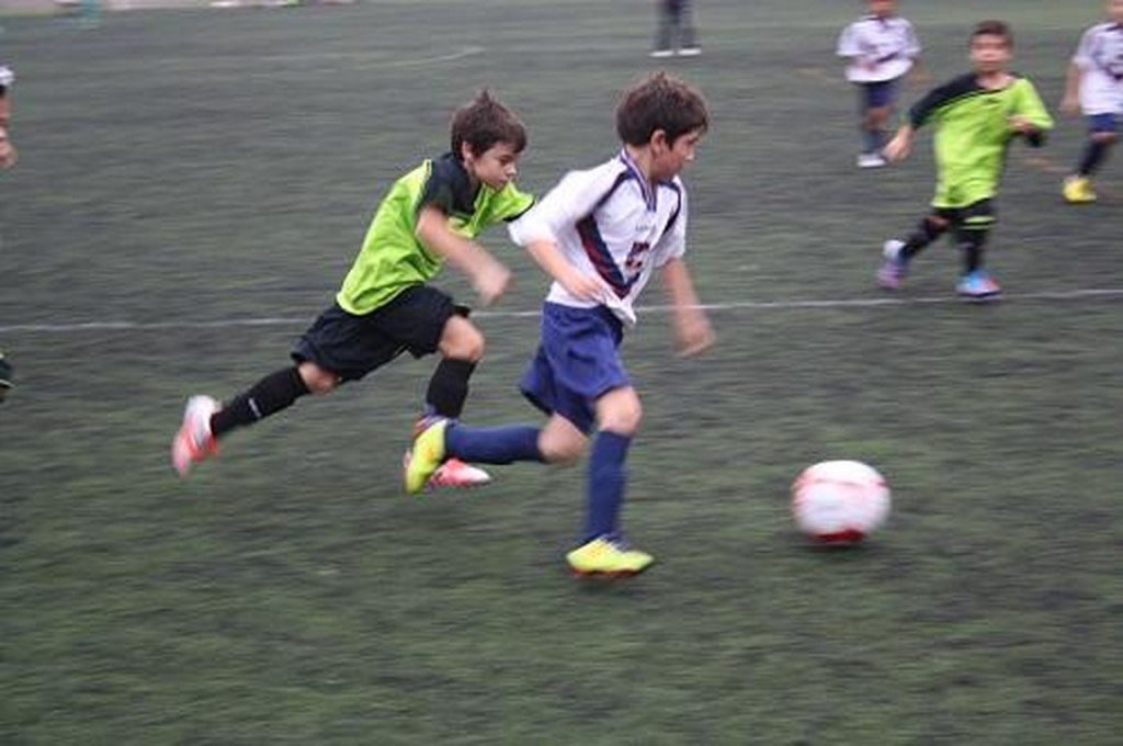 Temporada 2012-13 de PB Barcino