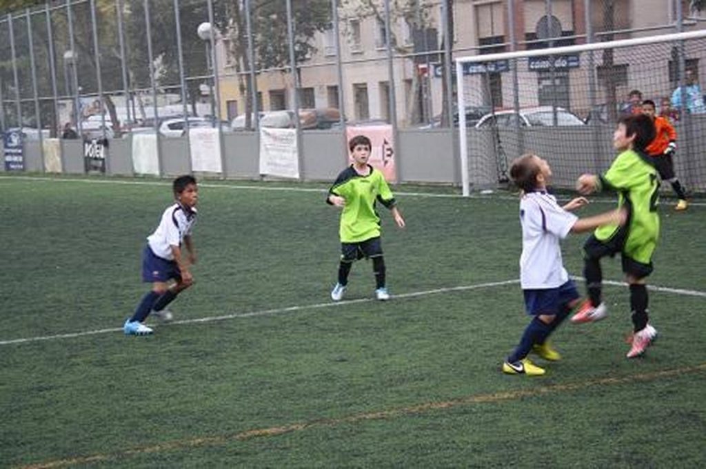 Temporada 2012-13 de PB Barcino