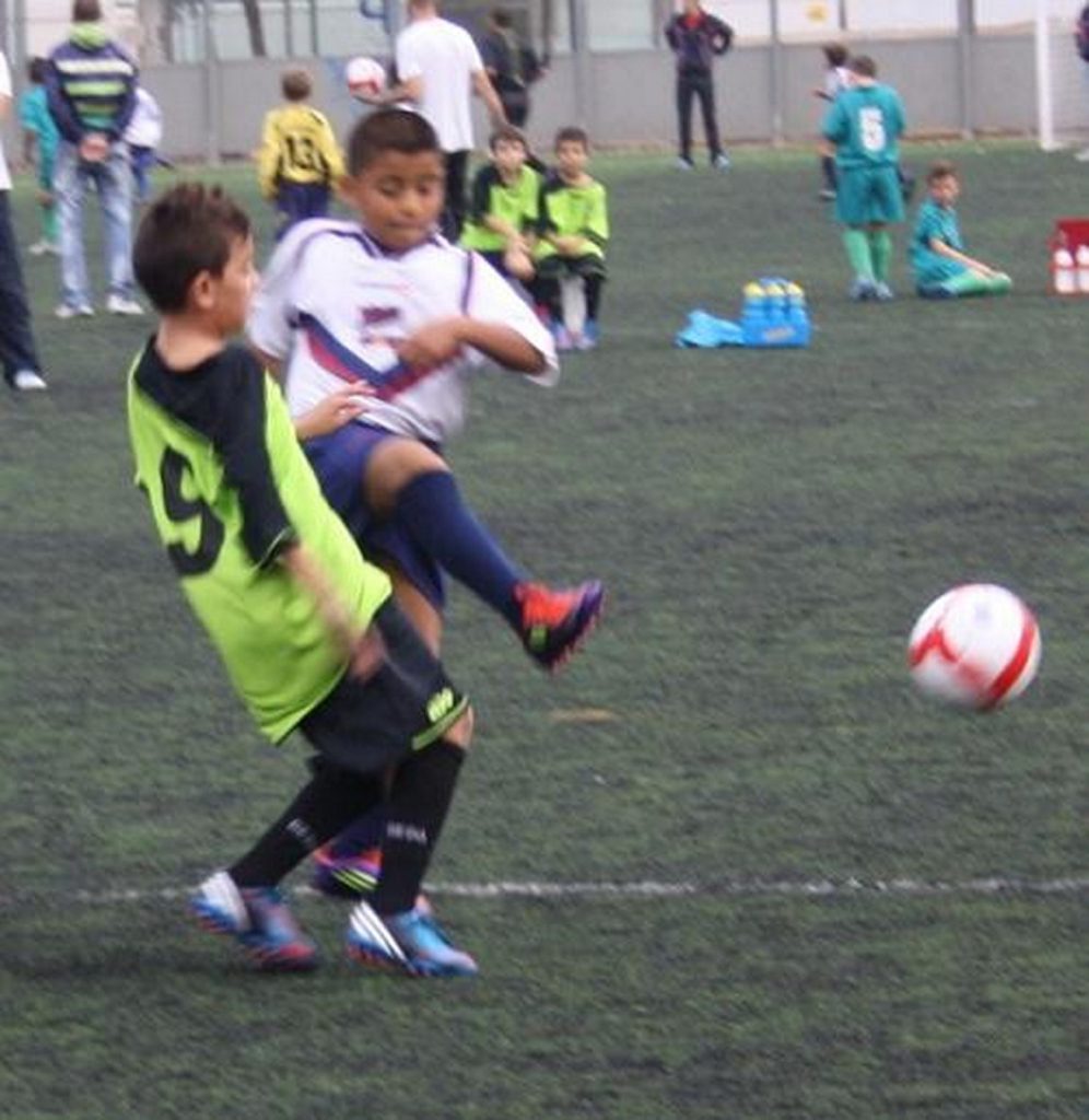 Temporada 2012-13 de PB Barcino