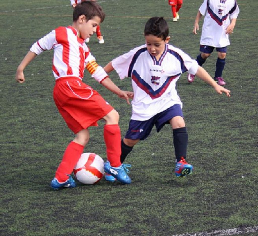 Temporada 2012-13 de PB Barcino