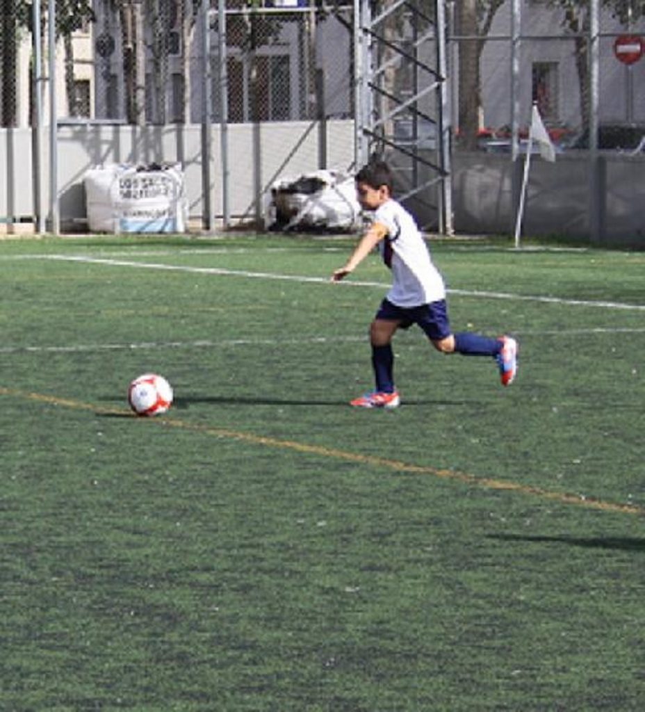 Temporada 2012-13 de PB Barcino