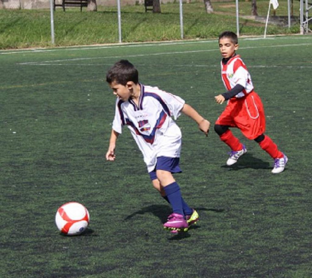 Temporada 2012-13 de PB Barcino