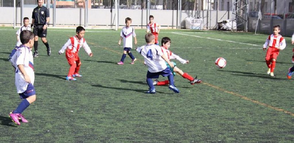 Temporada 2012-13 de PB Barcino