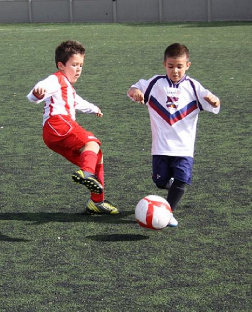 Temporada 2012-13 de PB Barcino