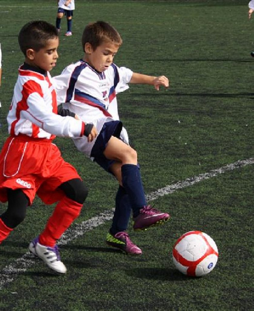 Temporada 2012-13 de PB Barcino