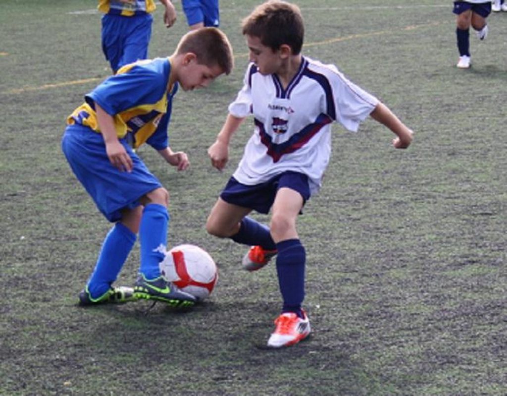 Temporada 2012-13 de PB Barcino