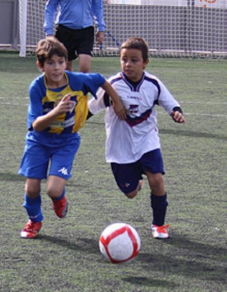 Temporada 2012-13 de PB Barcino