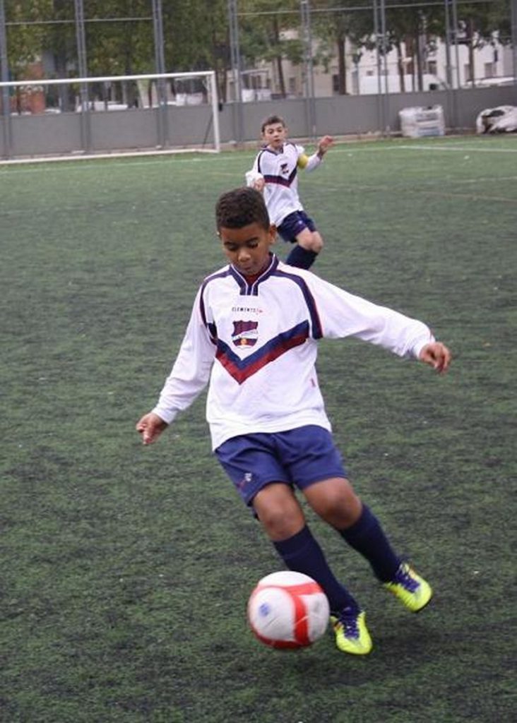 Temporada 2012-13 de PB Barcino