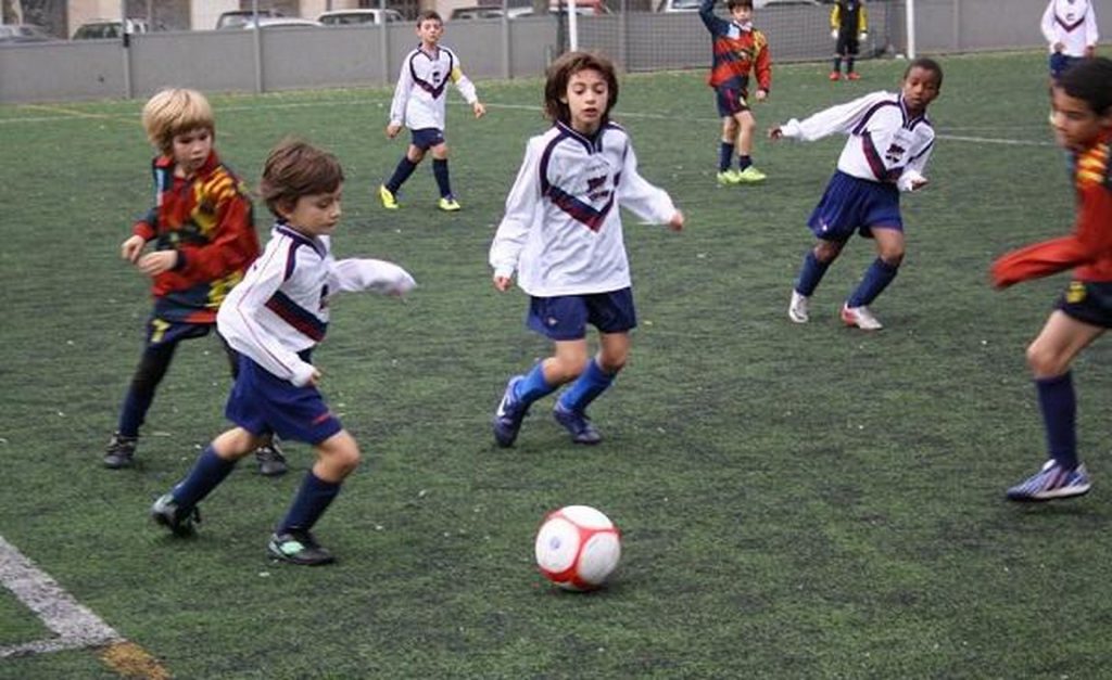 Temporada 2012-13 de PB Barcino