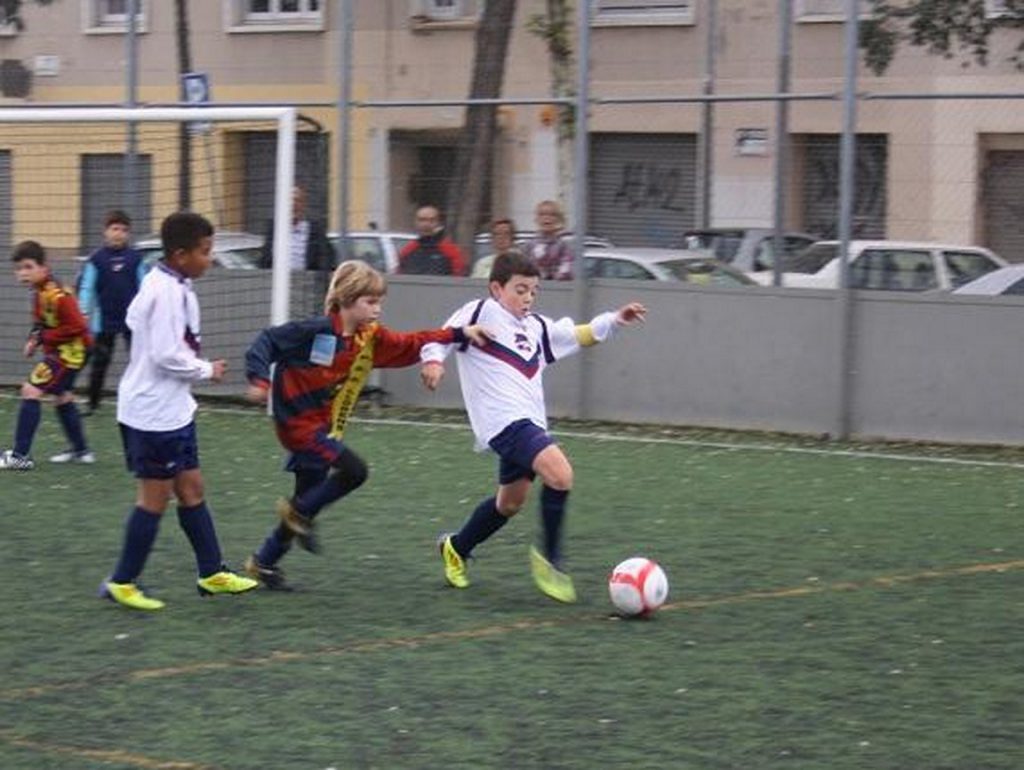 Temporada 2012-13 de PB Barcino