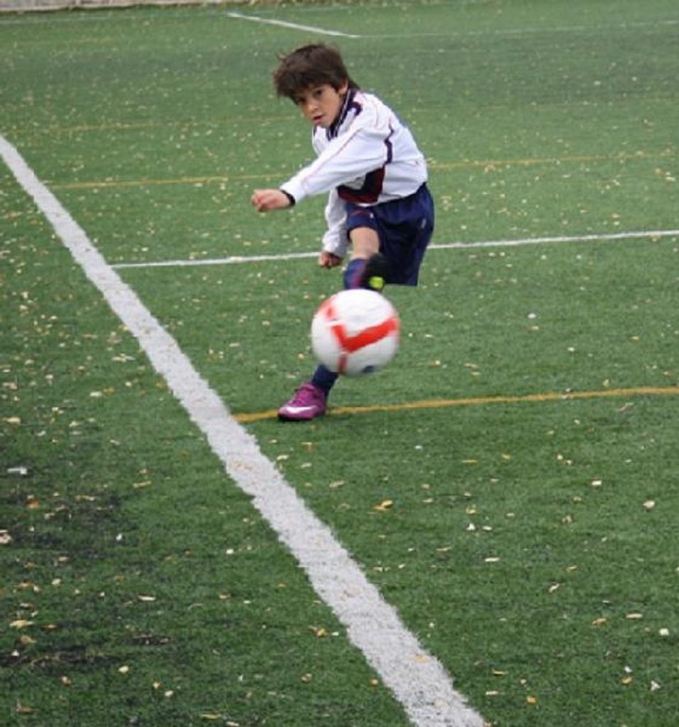 Temporada 2012-13 de PB Barcino