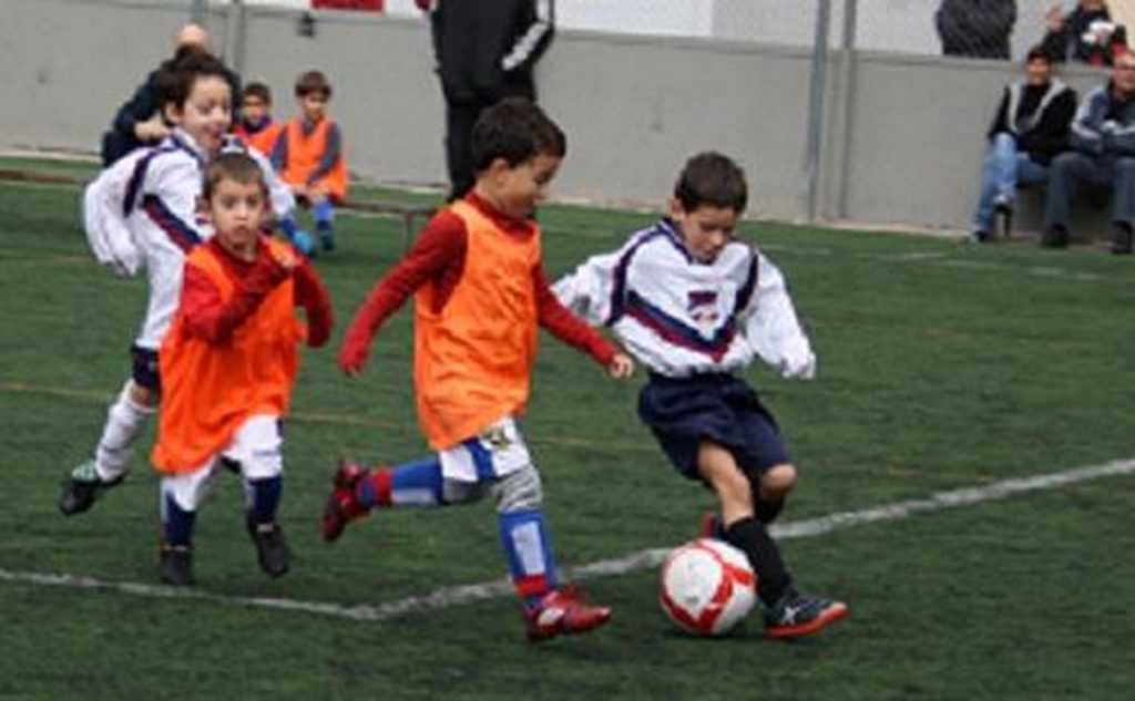 Temporada 2012-13 de PB Barcino