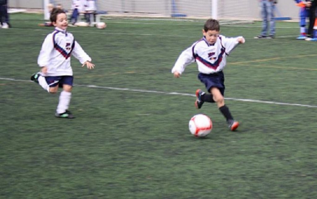 Temporada 2012-13 de PB Barcino