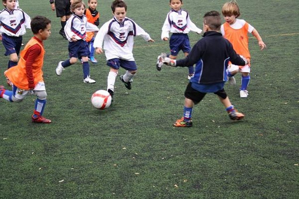 Temporada 2012-13 de PB Barcino