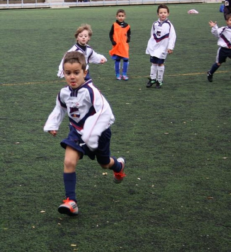 Temporada 2012-13 de PB Barcino