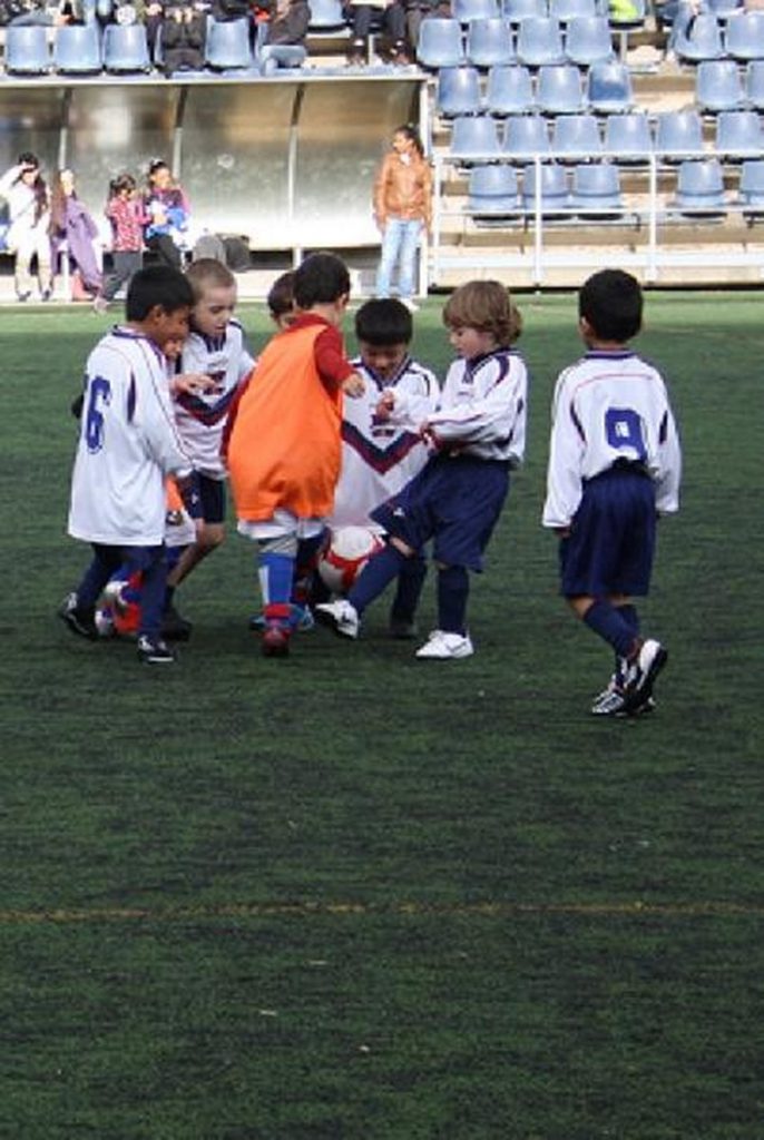 Temporada 2012-13 de PB Barcino