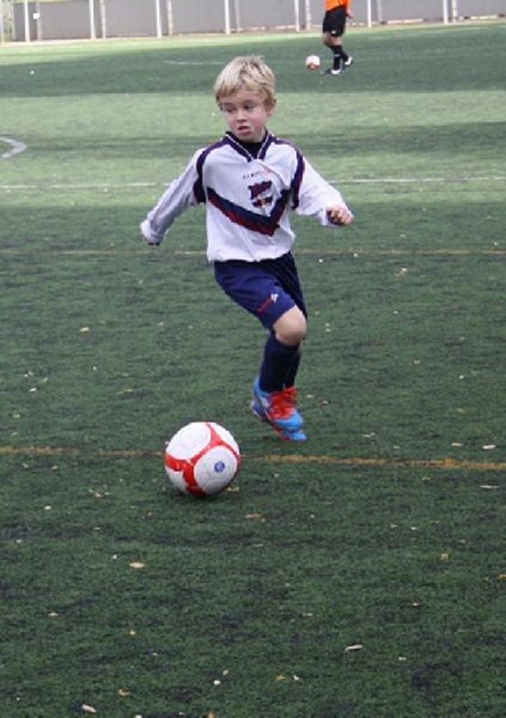 Temporada 2012-13 de PB Barcino